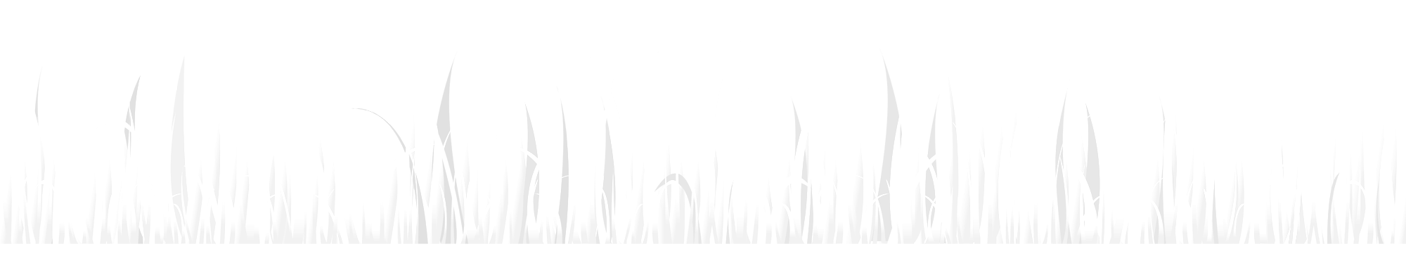 bw-grass