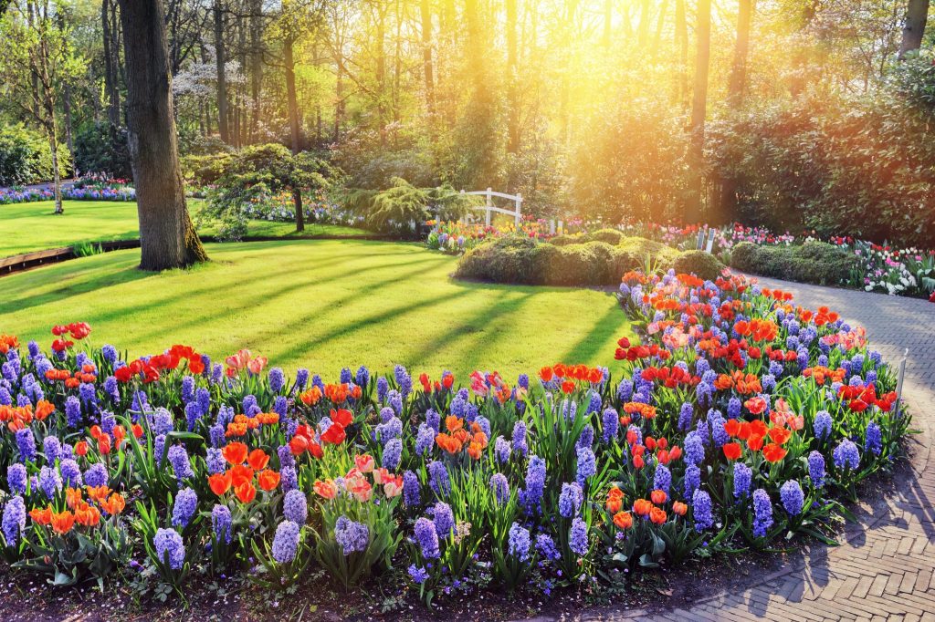 bigstock-spring-landscape-with-colorful-86021720